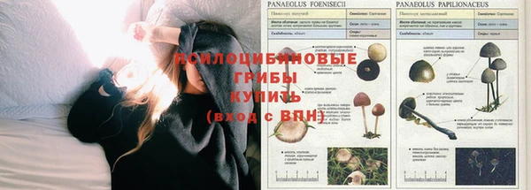 хмурый Краснослободск