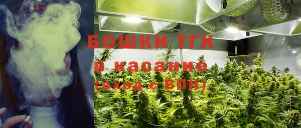 стаф Козловка