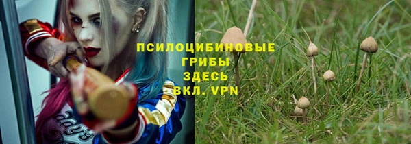 бошки Кулебаки