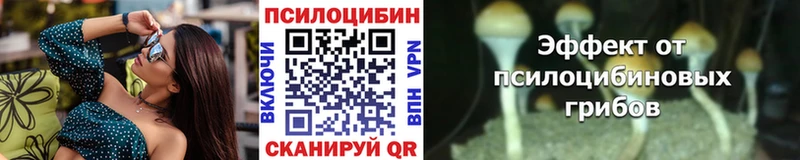 дарнет шоп  блэк спрут ТОР  Галлюциногенные грибы мицелий  Мелеуз 