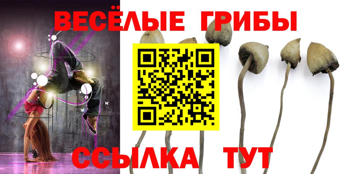 Мелеуз  Псилоцибиновые грибы мухоморы  Вход с VPN  Галлюциногенные грибы GOLDEN TEACHER 